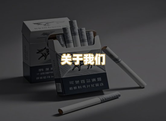 关于我们